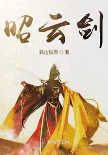 昭云剑